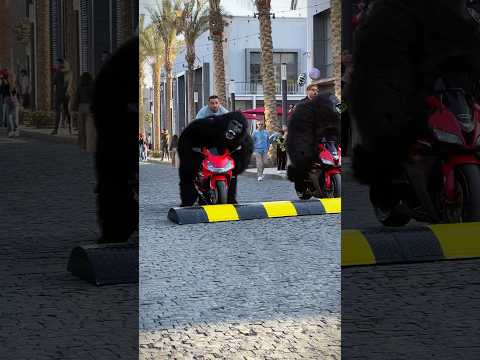 شوفو عملت ايه في المشهد مع السقا وفهمي في فيلم احمد واحمد