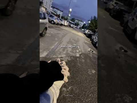 كان اكتر قلب فاهمني