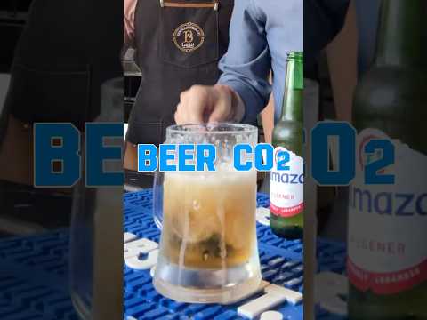 طريقة شرب البيره الصحيحيه كيف تنشرب البيرا Beer