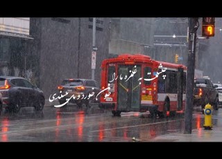 Shajarian Moohayash شجریان موهایش