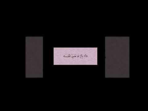 آيات فيها مواساة ورسائل ربانية تحس بها وكأن الله يخاطبك