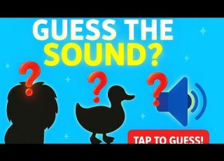  Guess The Animal By Sound Fun Animal Quiz For Kids PlaylyVerse