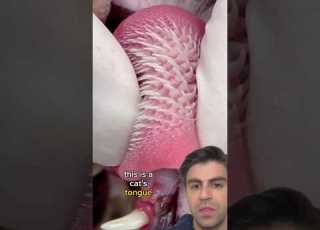 Why Are There Spikes On This Tongue