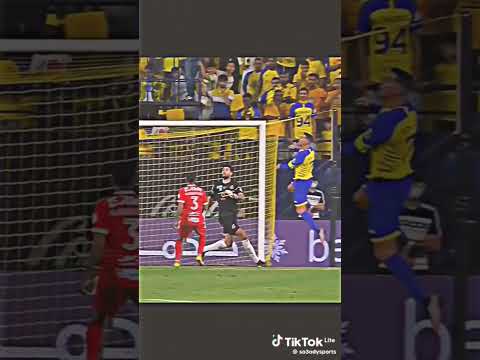 اسطبلات واحصنه كتير