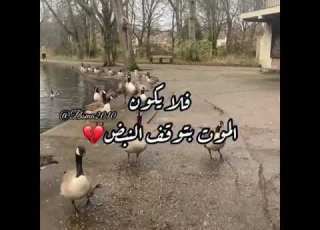 اسوء مايصيب الانسان ان يموت حيا