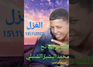  الشاعر الفاتح محمدالبشير الشنبلي