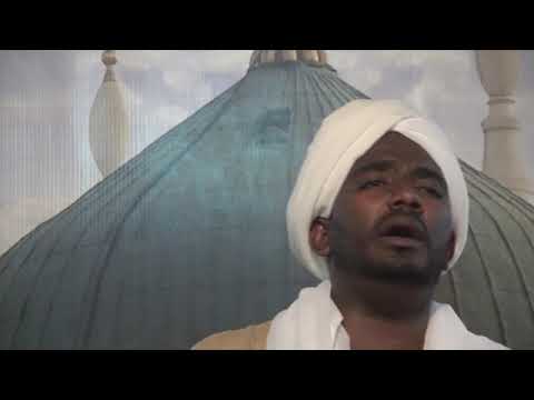 الشيخ محمد البشير هاشم الهمزية للإمام البوصيري صل يا ربي ثم سلم على من هو للخلق رحمة و شفاء