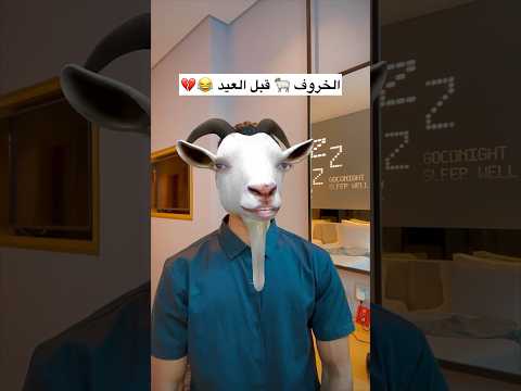 الخروف قبل عيد الأضحى