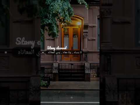 غيابه طال وقال فيوم هيرجع تانى حالات واتس تامر عاشور