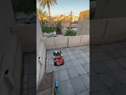 بشنو يذكركم هذا الصوت مهيمن علاء