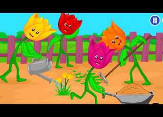  Tulip Song For Children Flowers Songs