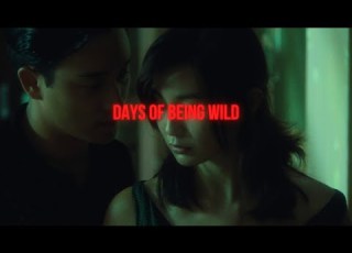 Understanding Days Of Being Wild 1990 Life Goes On