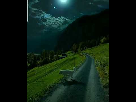 4К Video Relax Music Shorts Youtube Youtubeshorts