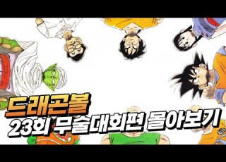 드래곤볼 제23회 무술대회 몰아보기 전설의 결승전이 시작된다