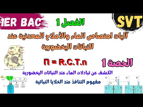 أولى باك SVT الفصل 1 آلیات امتصاص الماء والأملاح المعدنیة عند النباتات الیخضوریة الحصة 1