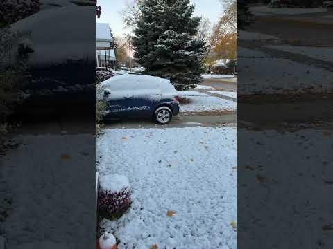 وكان مفروض تكون موجود في أيامي