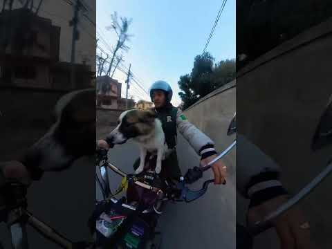 Foryou Foryoupage Trending Rx100 2stroke Rex Pets Support Love