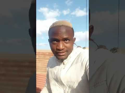 Mbwa Mimi Nikipenda Tena Niuweni