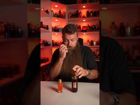 Have You Tried Anything From Ibraheem Al Qurashi