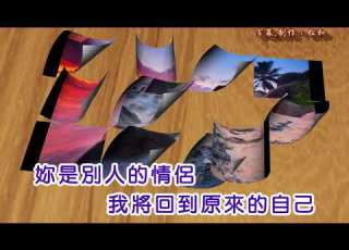洪榮宏 蒼白的記憶