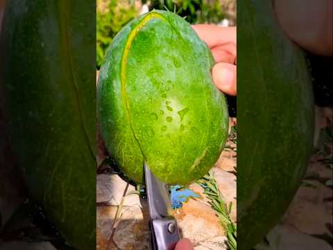 سبحان الله والحمد لله Shorts