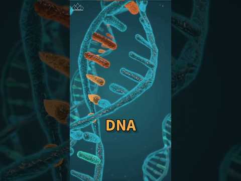 اعجوبة الحمض النووي DNA