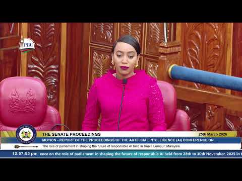 The Senate Plenary Wednesday 25th March 2026 Morning Session