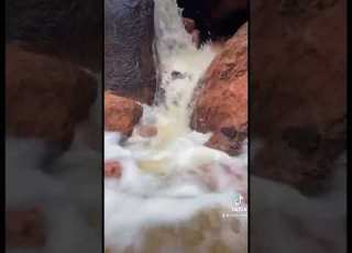 ياليتها ماجات من صاحب