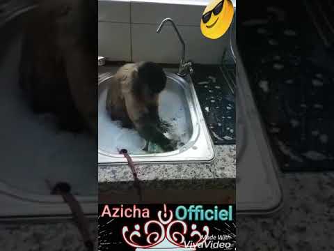 ديك طفلة يا ناس عليها بايت عساس