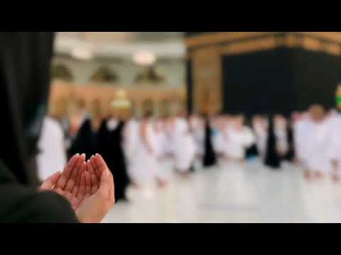 قلبي سجد ماهر زين