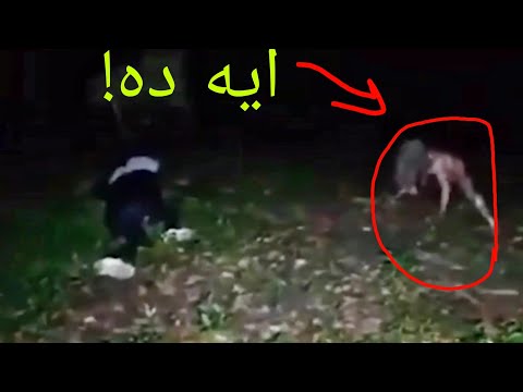 مخلوق غريب رجل يعيش تحت المجاري الرجل الفأر مخلوق غريب رجل يعيش تحت المجاري الرجل الفأر