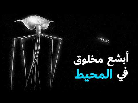 ليش كلما تنزل أعمق في المحيط تصير الكائنات أغرب