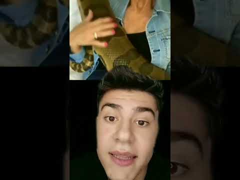 البنت كانت عم تغذي افعى الاناكوندا يوميا