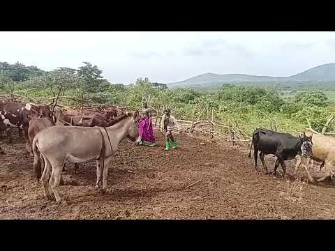 MAYIKU SAI UJUMBE WA MWANA SHINU 2026