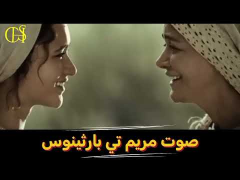 خطرت حمامة في بيت زكريا