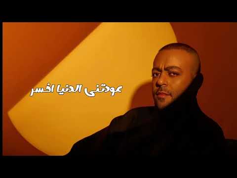 تامر عاشور عودتني الدنيا شيرين عبدالوهاب