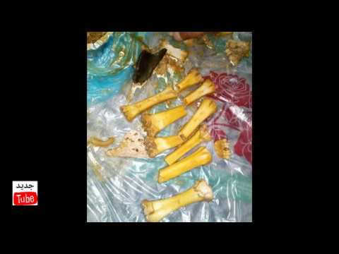 مواطن سعودى أكل لحم كلاب من مطعم بالبطحاء شف وش حصل له