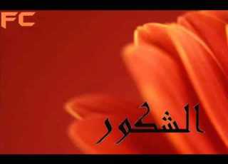 اسماء الله انى لطفى بوشناق