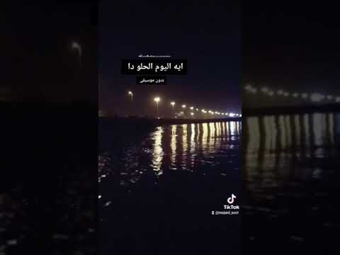 ايه اليوم الحلو دا بدون موسيقى Shorts حالات واتس تيك توك