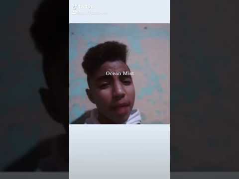 قولتلها لا بلاش من كدا