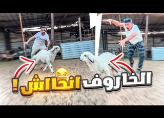  مقلب خاروف العيد انحاش