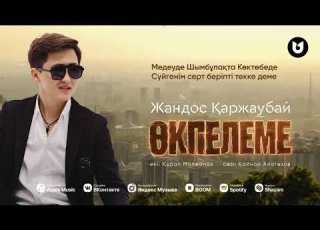  Жандос Қаржаубай Өкпелеме