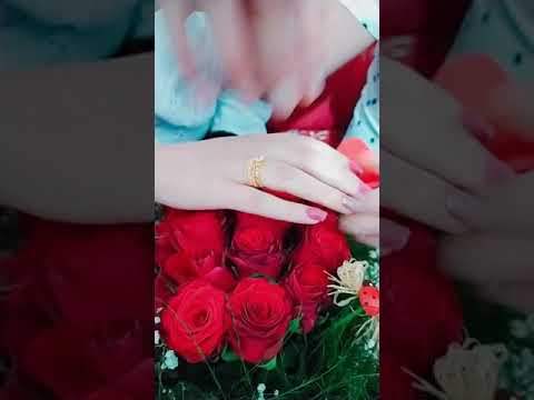 حفلة خطوبة تلبيسة خواتم بجننو حالات واتس اب خطوبه