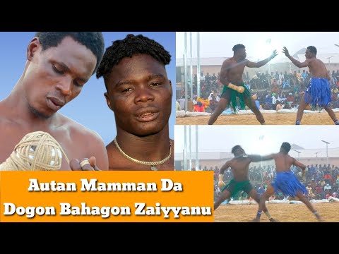 Autan Mamman Da Dogon Bahagon Zaiyyanu Sunyi Mugun Dambe A Kano Yau Laraba 14 1 2026