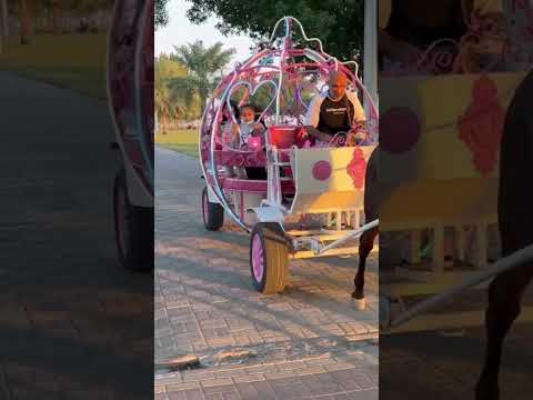 عربة الحصان