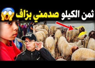 I Went To Buy The Sheep With Nabila At Marjane The Price Per Kilo Shocked Me So Much Is Thi