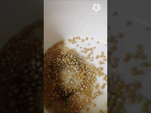 نكهة سحرية للبوشار