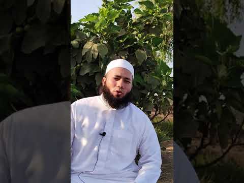 شجرة التين في المنام للشيخ أحمد عبد الحافظ