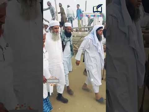 Maulana Saad In Ijtema Shorts Youtubeshorts Shortvideo