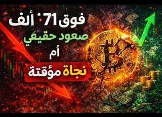 بيتكوين أفضل من الذهب وما يحدث الآن أخطر مما يبدو